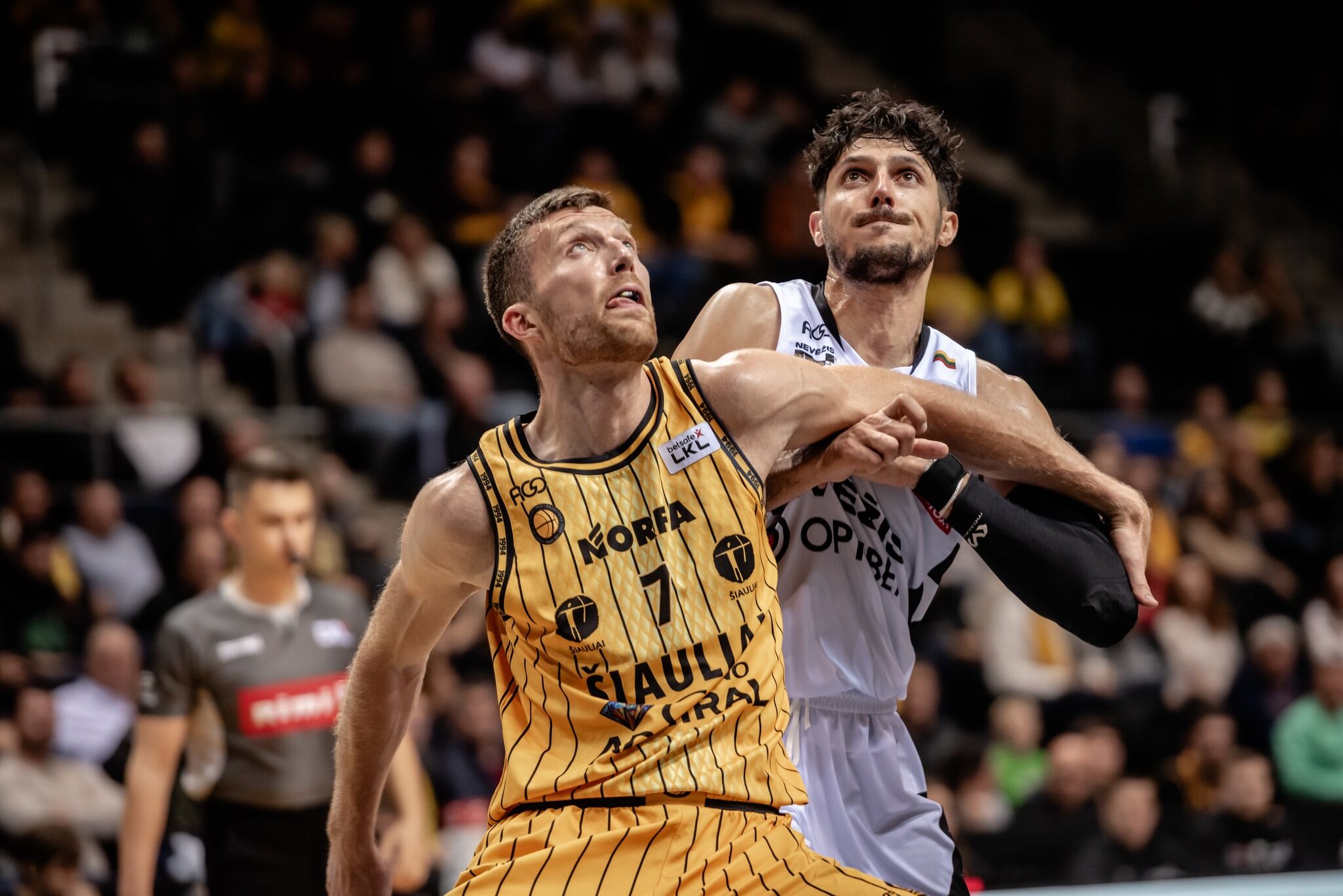 BC Šiauliai. Saulius Kulvietis komandos kapitonas 2024-25 m. sezone