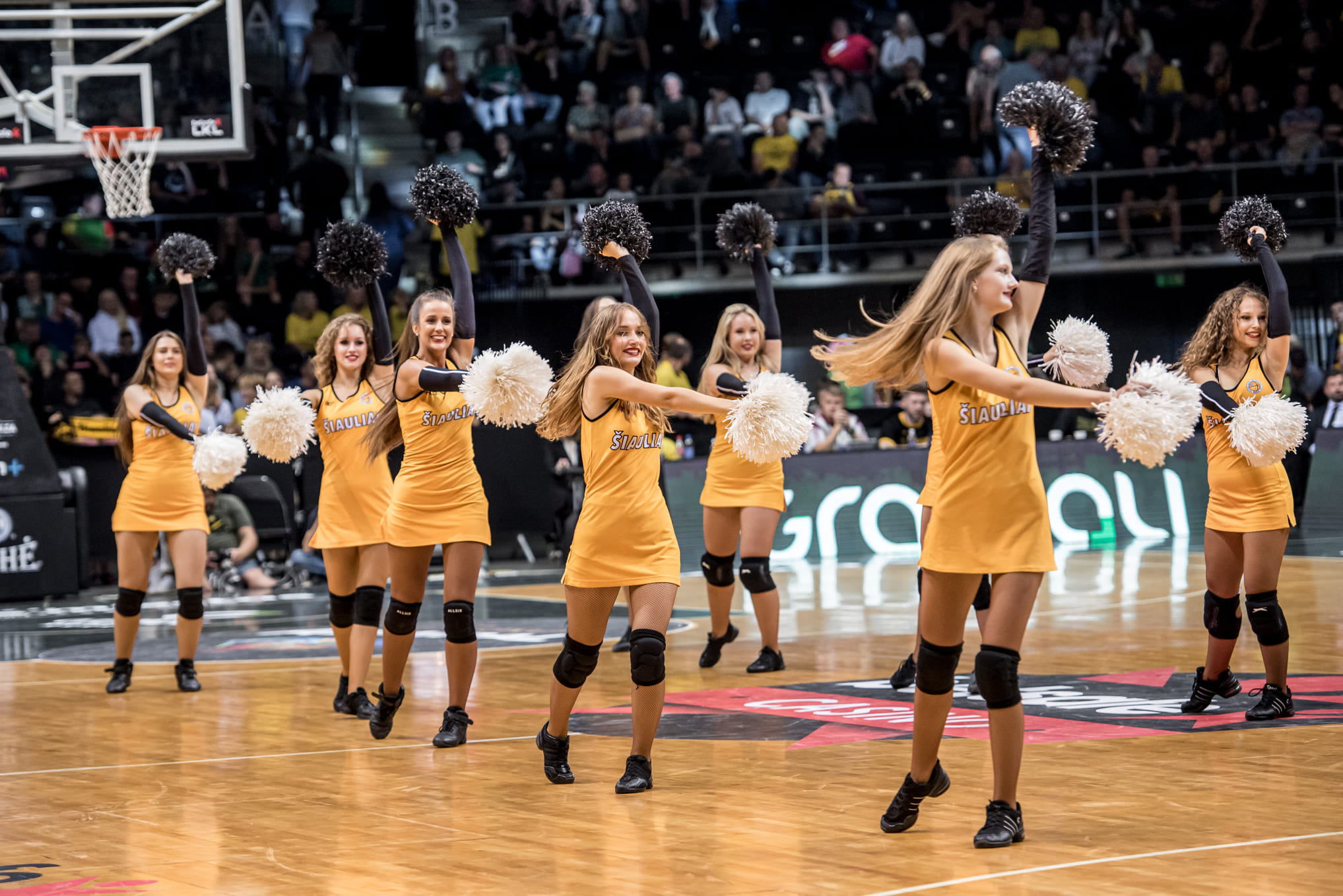BC Šiauliai. Šokėjos 2024-25